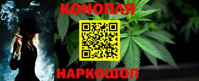 стафф Пенза
