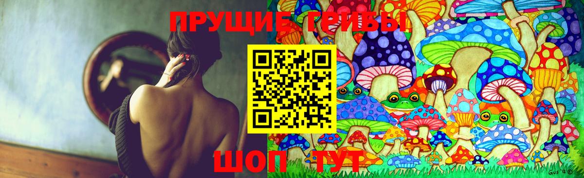 Галлюциногенные грибы Cubensis  Вход с VPN  Узловая 
