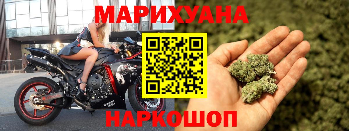 Каннабис Ganja  Канабис план  Вход с VPN  Узловая  Бошки Шишки гибрид 